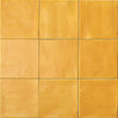 SENSI COLORE Miele 11,6x11,6