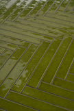 Ambiance carrelage 41ZERO42 Milano70 Bamboo