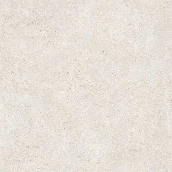 Refin Mold Mist 30x60