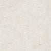 Refin Mold Mist 120x120