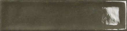 BST|nara-oliva.jpg