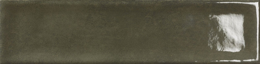 BST|nara-oliva.jpg
