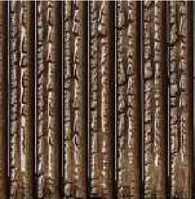 Carrelage Natucer Surco Nocciola