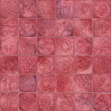 VIVES RUBRICA LUCA CARLO GRANATE-B 20x20 BRILLLANT