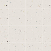 VIVES RUBRICA PAOLA ARIEL-B 20x20 BRILLANT