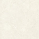 PAMESA CREMA MARFIL 60x120 SEMI POLI