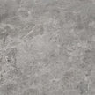 PAMESA ERDING GREY 120x120 MAT