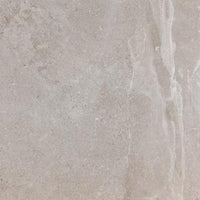 PAMESA ERDING ASH 60x60 MAT