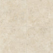 CENTURY GLAM BEIGE 80x80 BRUSHED