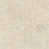 CENTURY GLAM BEIGE 60x60 MAT