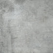 Refin Plant Ash 60x60