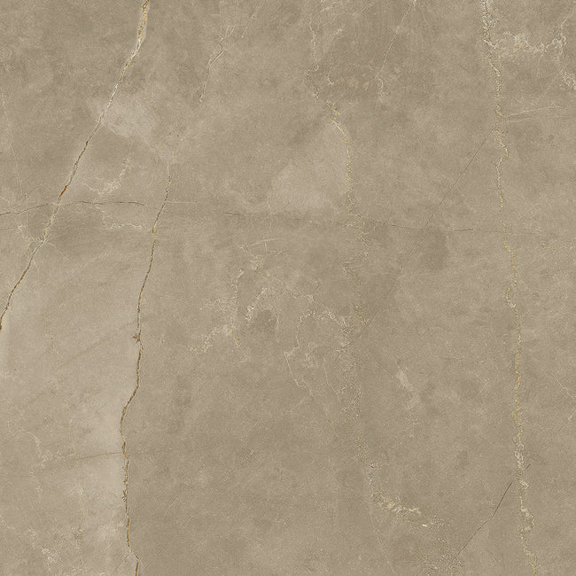 BST|pulpis-taupe-60x60-1.jpg