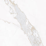 LIVING CERAMICS BLANC CALACATTA GOLD 120x120 SOFT TEXTURE