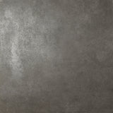 LIVING CERAMICS FLOSS GRAPHITE 30x60 R11
