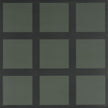 Carrelage Quintessenza Oltre Oltre9 Nero.Verde, grès cérame