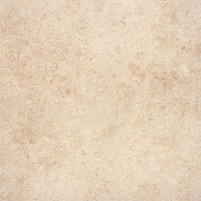NOVOCERAM RACINES BORDURES CASTRUM — Clair, détail du carreau