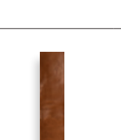 SENSI COLORE Marrone Uni 5,7x23,2