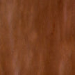 SENSI COLORE 11,6X11,6