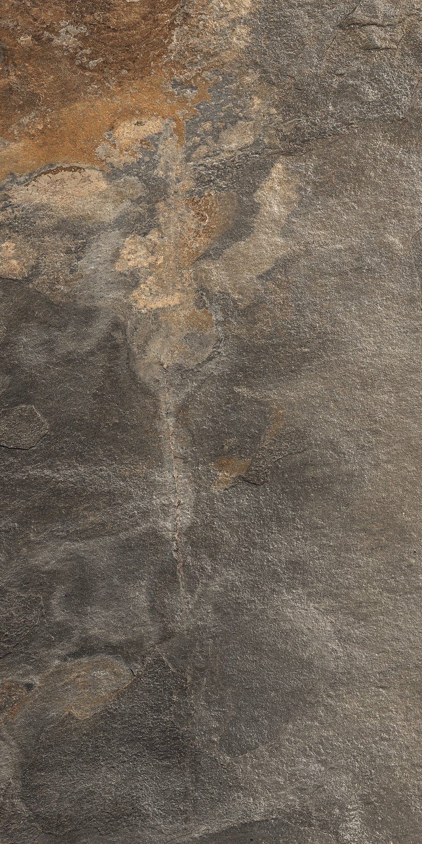 Carrelage Elios Slate Natural 60x120 cm — packshot carreau, réf. 03F6A00