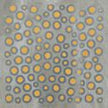 ELIOS CERAMICA TROPICAL DECORO SAVANA 2 20x20 LUCIDO