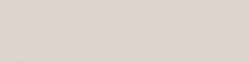 BST|van_base-beige.jpg