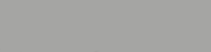 BST|van_base-gris.jpg