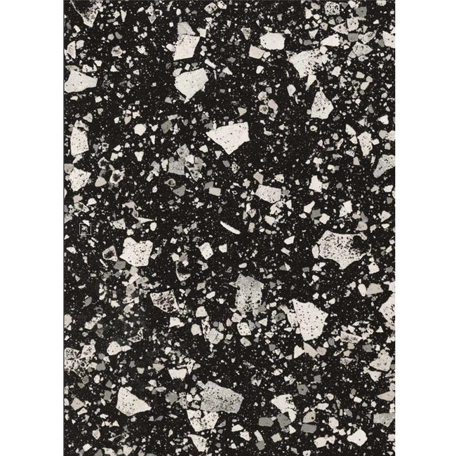 Carrelage Terrazzo - Venice Villa Graphite Matt - 60 X 30