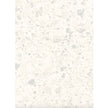 Carrelage Terrazzo - Venice Villa Zinc Matt - 60 X 30