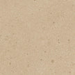 Carrelage VIVES Pangea AB|C Gea-R AB|C 120x120 Mostaza Mat rectifié
