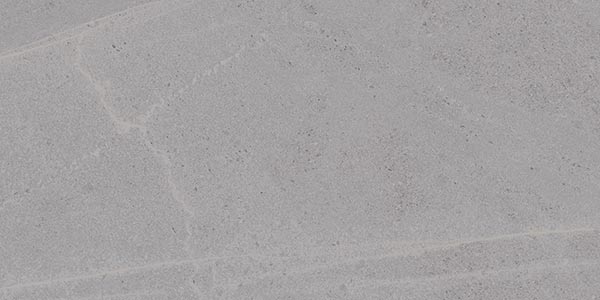 Carrelage VIVES Seine Seine 30x60 Gris Mat
