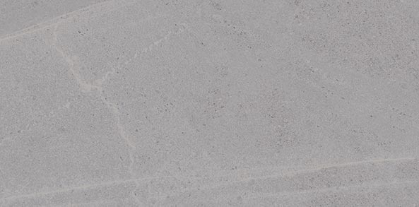 Carrelage VIVES Seine Seine-R 29,3x59,3 Gris Mat rectifié