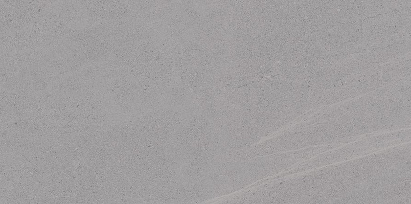 Carrelage VIVES Seine Seine-R 44,3x89,3 Gris Mat