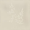 Carrelage VIVES Zero Arvum-4 13x13 Pearl Mat